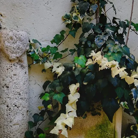Casa Anna Cerasuolo - Intera Casa Indipendente In Borgo *
